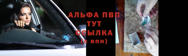 прущие грибы Снежногорск