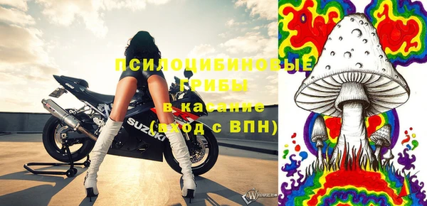 ГАЛЛЮЦИНОГЕННЫЕ ГРИБЫ Алексин