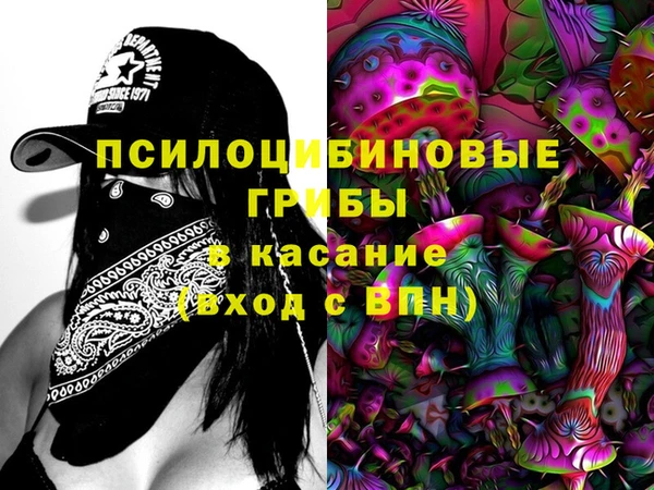 ГАЛЛЮЦИНОГЕННЫЕ ГРИБЫ Алексин