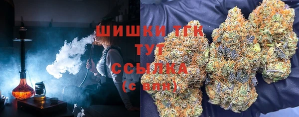 ECSTASY Абаза